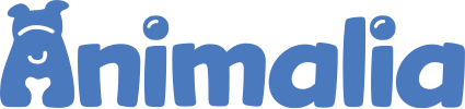 insuranceProvider_7